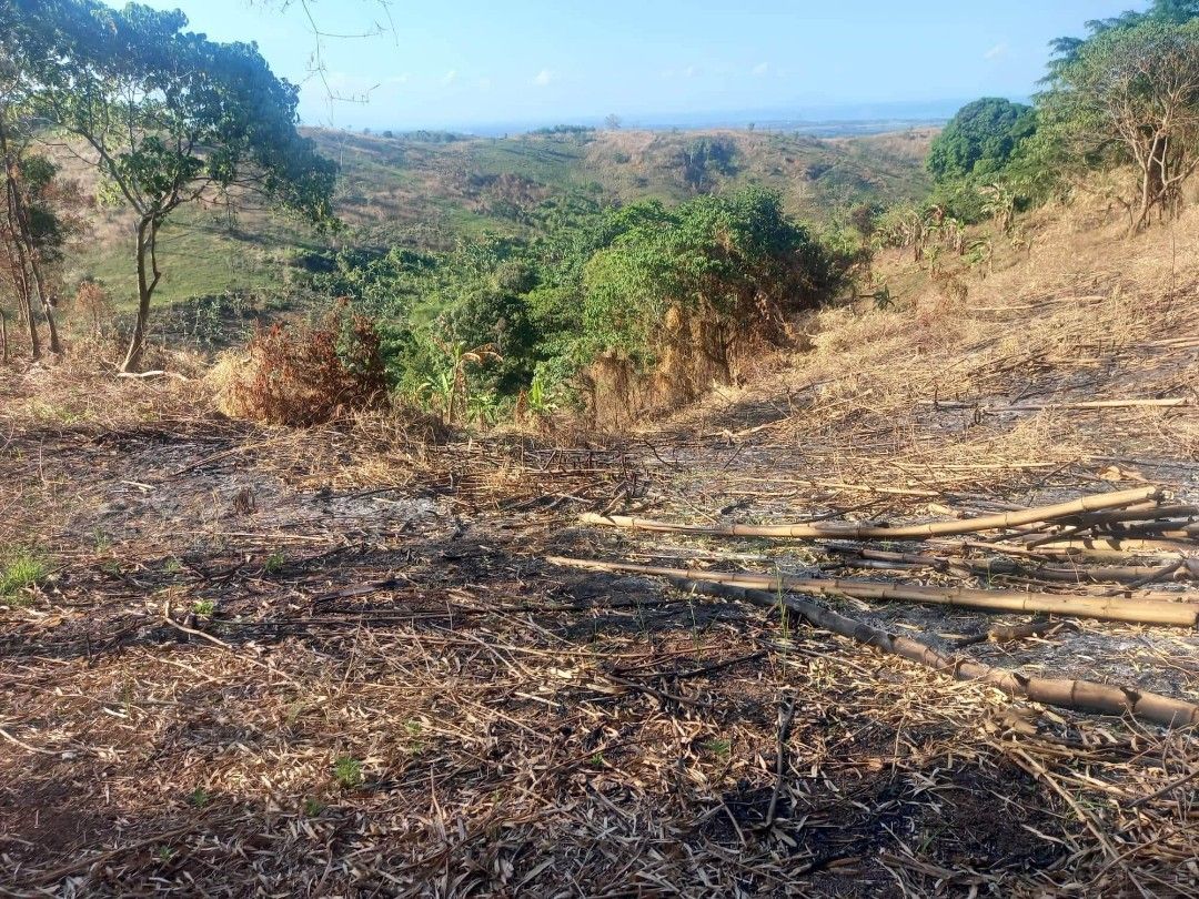 Lot in orion bataan 1000sqm on Carousell