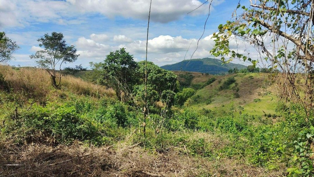 Lot in orion bataan 1000sqm on Carousell