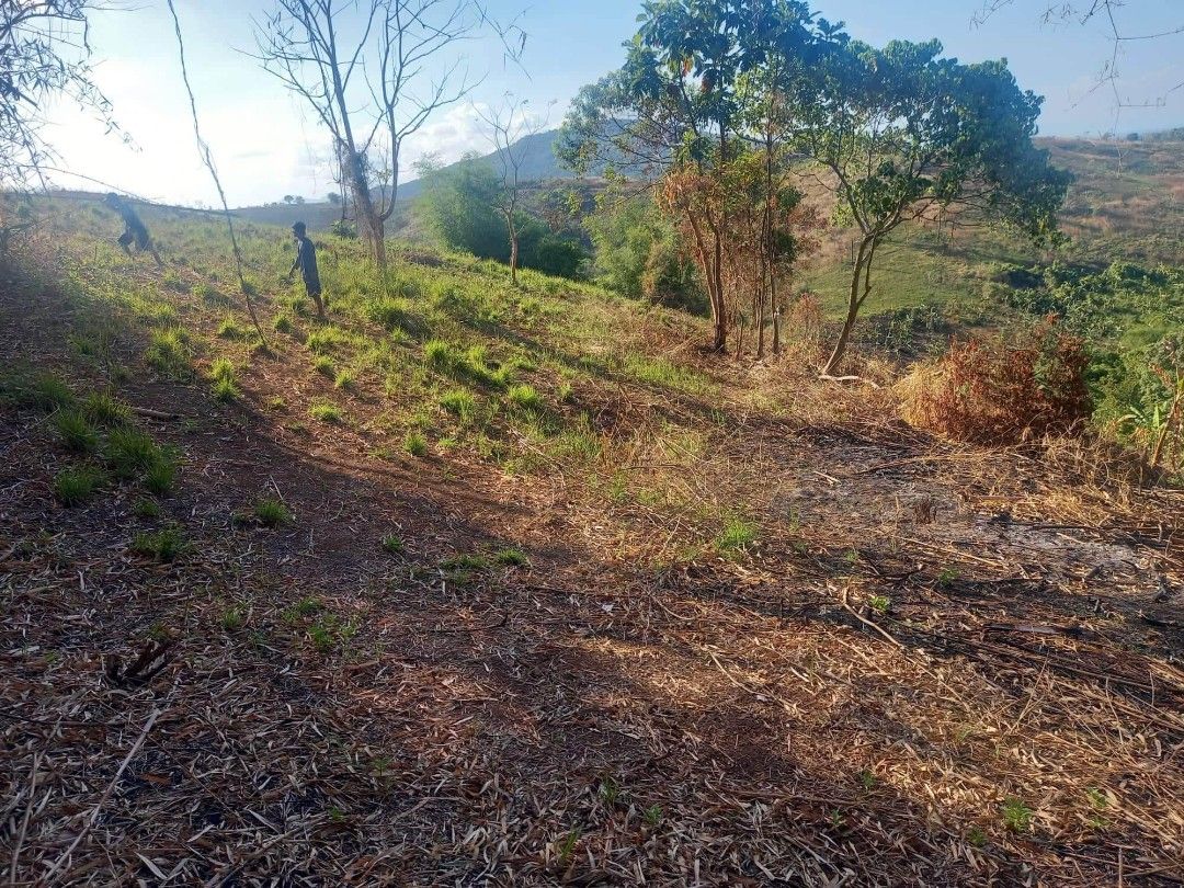 Lot in orion bataan 1000sqm on Carousell
