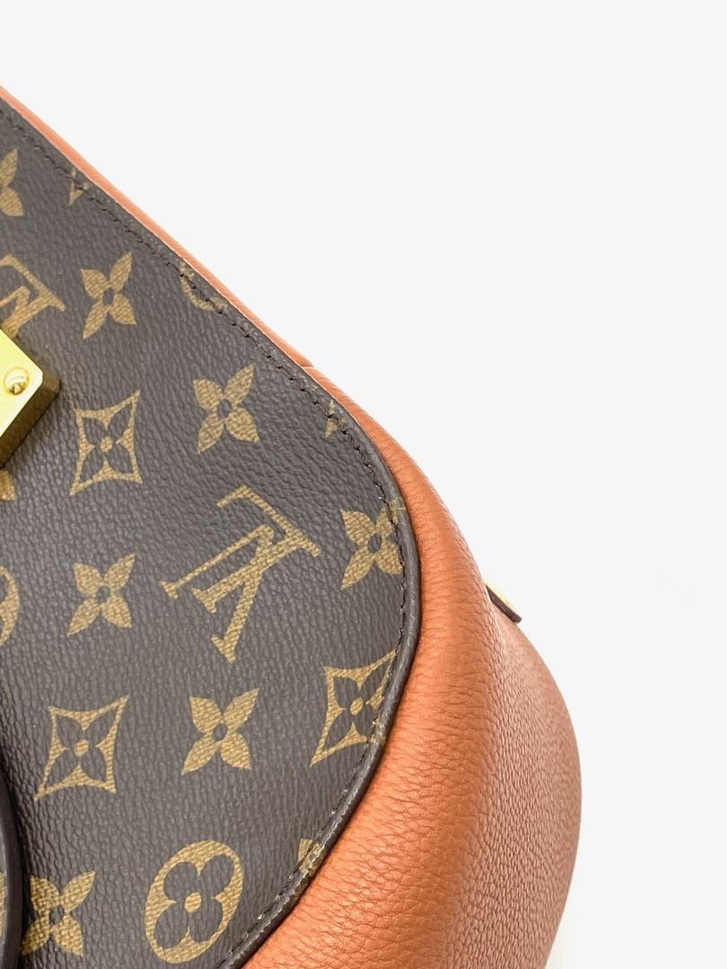 LOUIS VUITTON Monogram Havane Eden MM Shoulder Bag