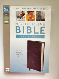 NIV THINLINE BIBLE LARGE PRINT