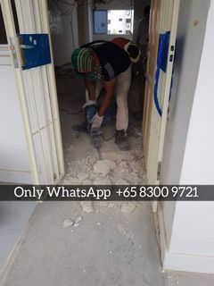 Painting/Hacking/Plastering/Renovation/Epoxy Services
