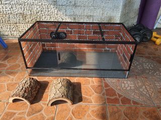 (Category: ) located in . Submitted by johnalindogan (Listing ID 1236248867, Image 1). Description: .