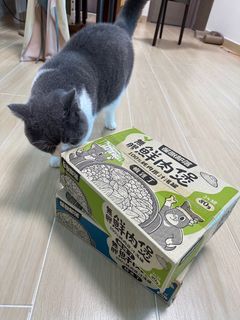 （分類：）位於 。 由 eggbur 提交（商品編號 1236477731，圖片 1）。簡介： 。