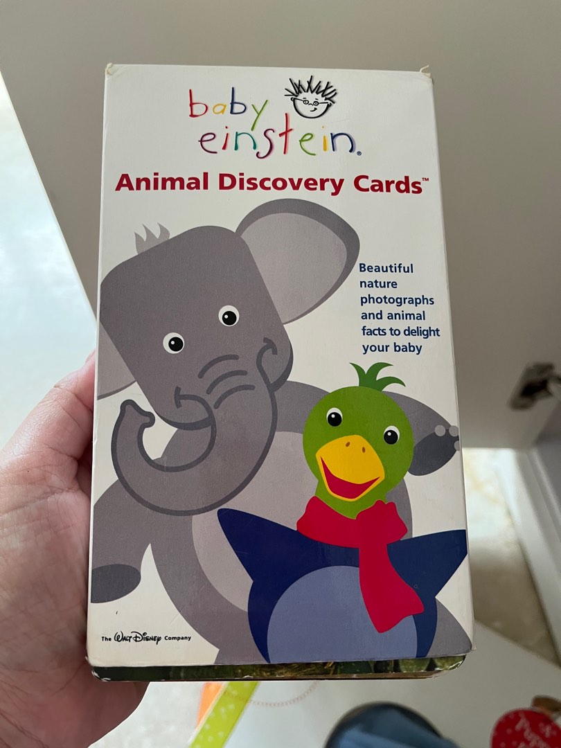 Baby Einstein Flash Cards, Hobbies & Toys, Books & Magazines, Children