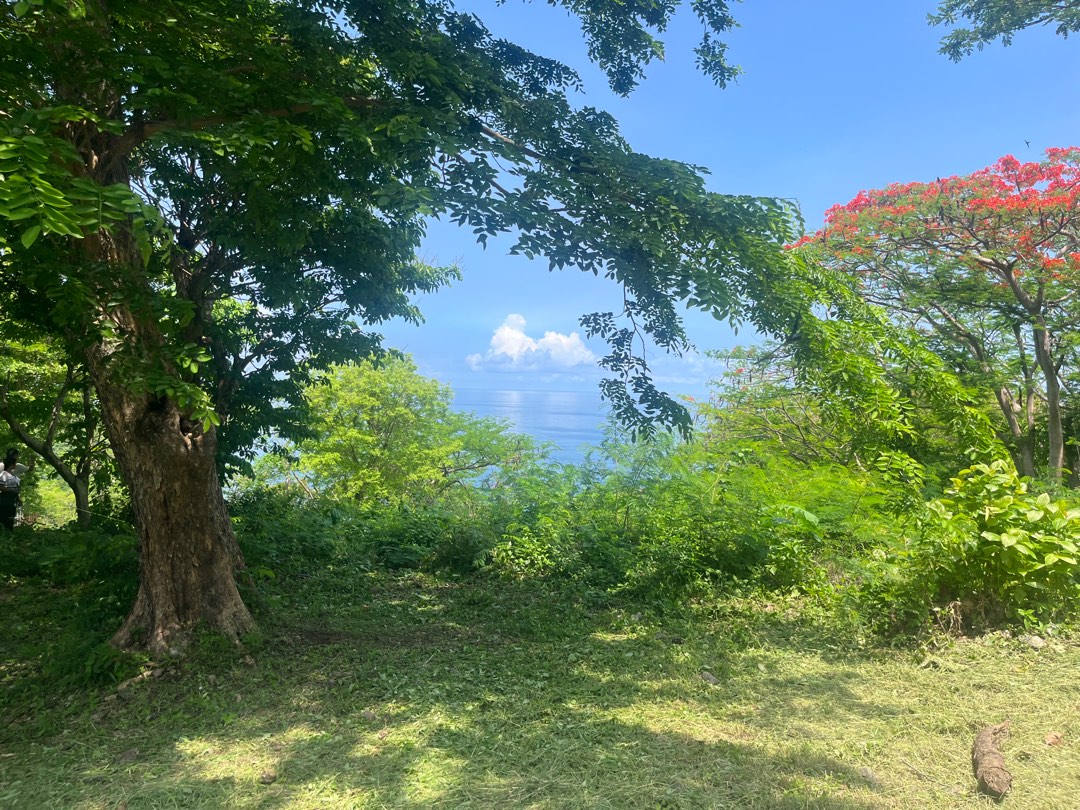 (Category: ) located in . Submitted by rosalitar.legarda (Listing ID 1236444661, Image 1). Description: .