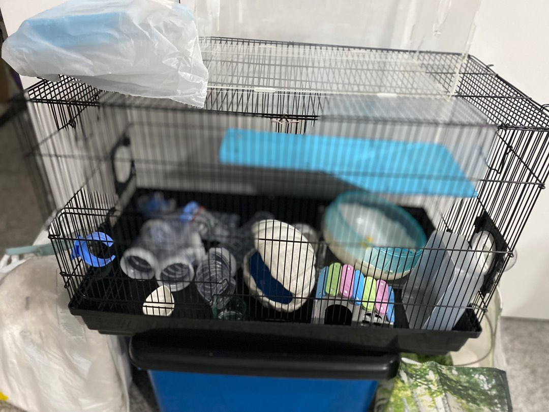 Big cage with levels and accessories for hamsters, Pet Supplies, Homes ... - Large Cage Kits For Hamsters Online