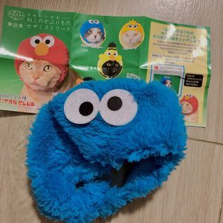 cookie monster cat cap hat 芝麻街 貓貓 帽