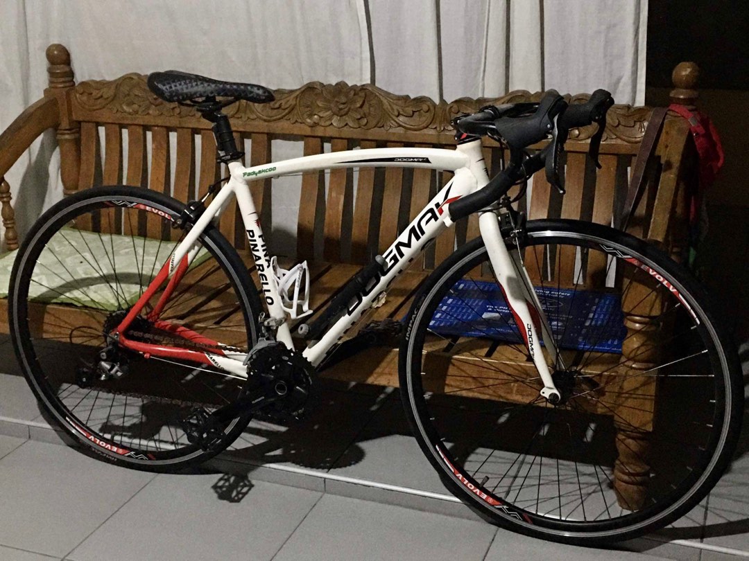 Dogmak Pinarello Roadbike