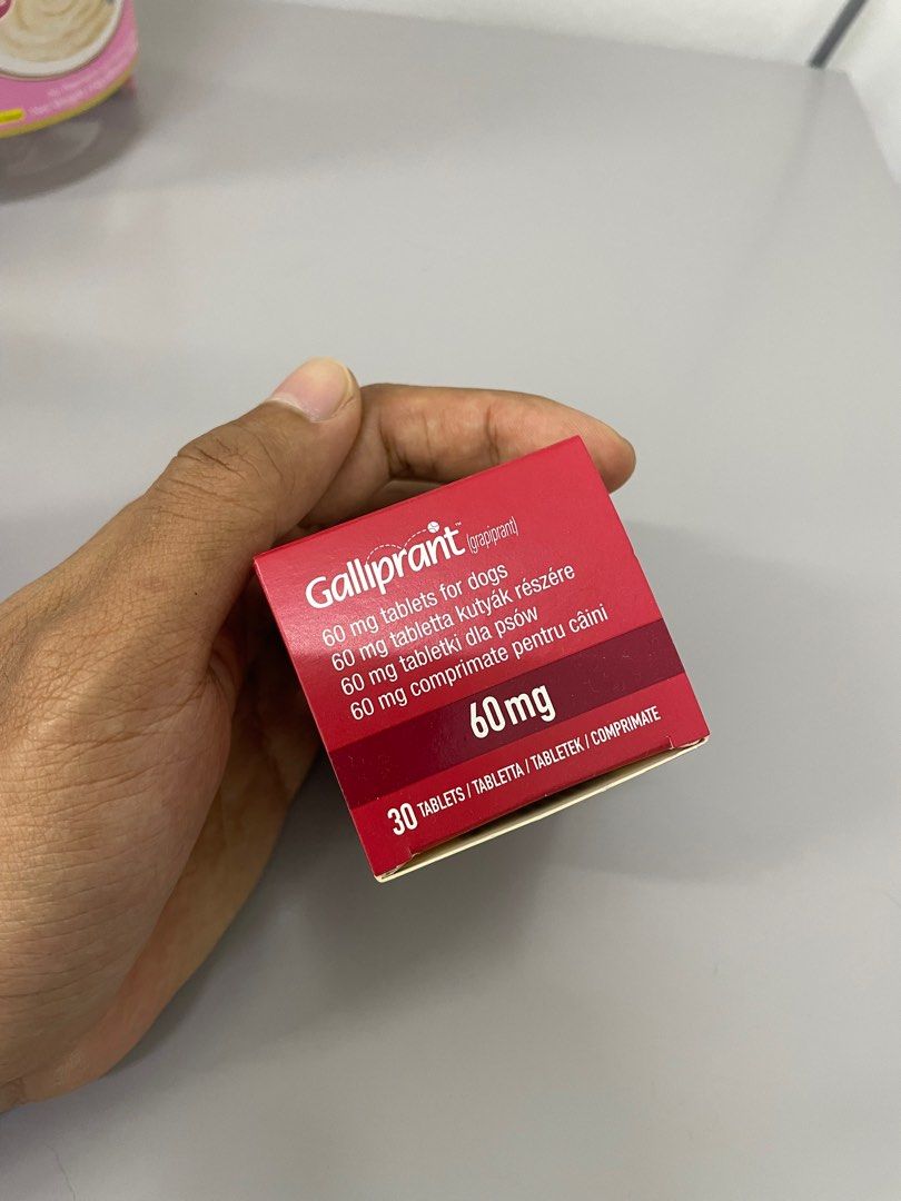 Galliprant cheapest price online