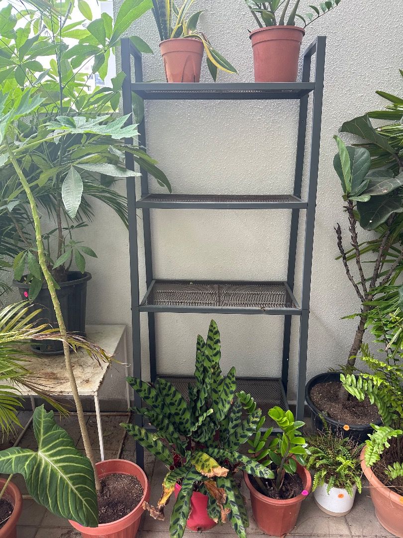 Garden 2024 shelving unit