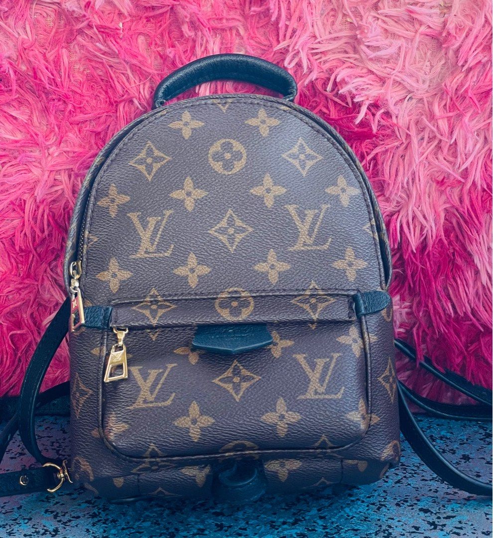 LV louis vuitton small backpack palm springs mini, Women's Fashion, Bags &  Wallets, Backpacks on Carousell