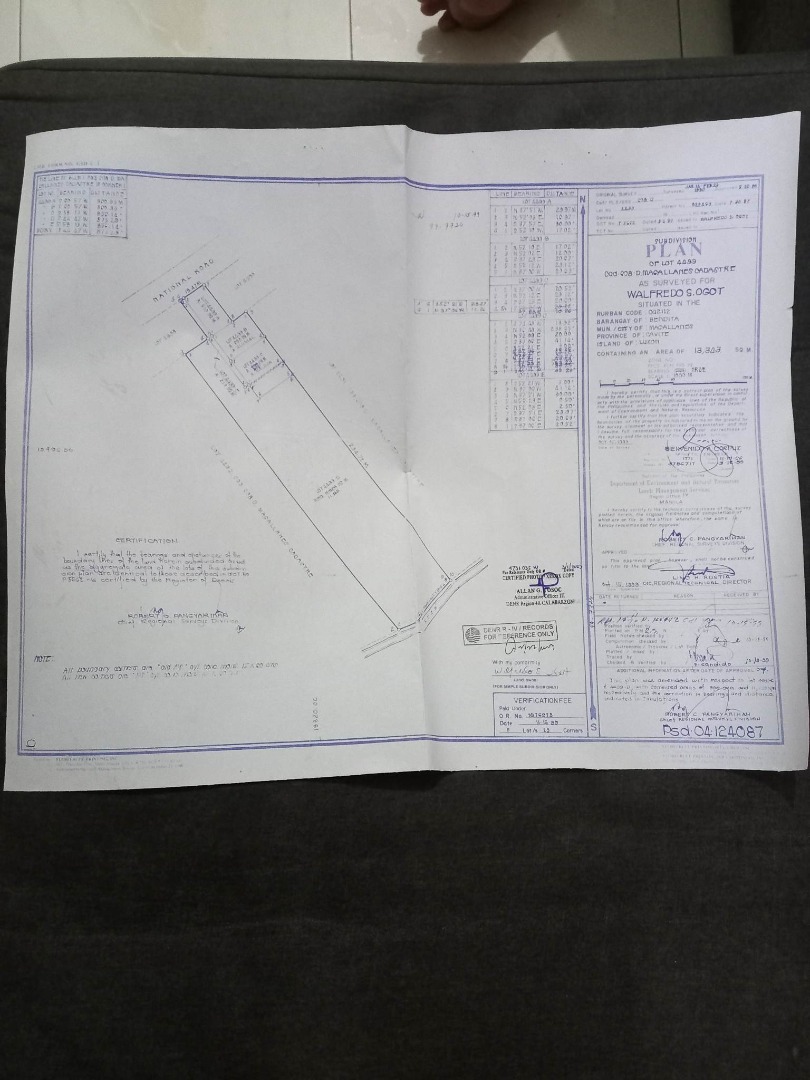 Magallanes Cavite lot beside provincial road 1.1 hectare P1,300/sqm