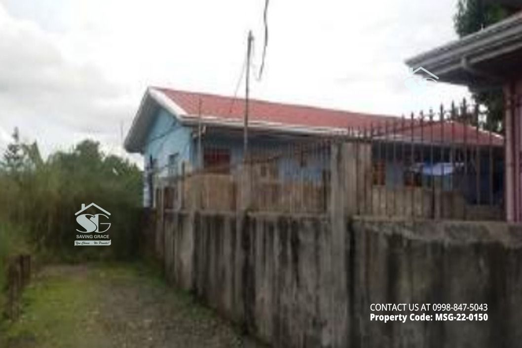 MSG220150 FORECLOSED HOUSE AND LOT in BRGY. PUNTAMAYOR ZONE 5, IBA