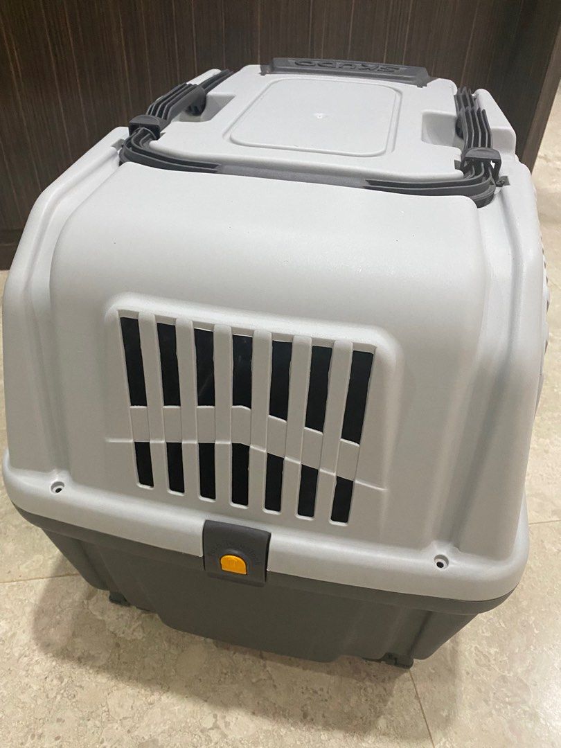 Skudo pet crate, Pet Supplies, Homes & Other Pet Accessories on Carousell