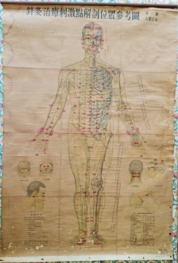 Vintage Chinese Acupuncture points physician chart 1955, Furniture ...