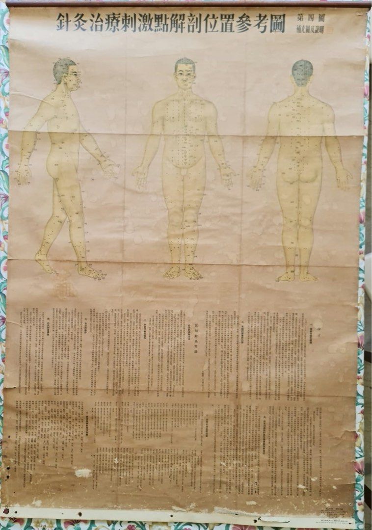 Vintage Chinese Acupuncture points physician chart 1955, Furniture ...