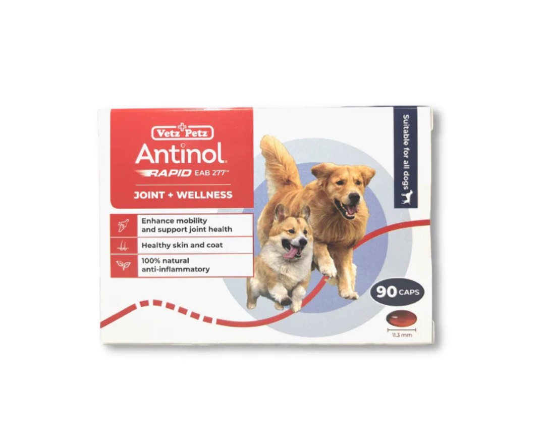 Apoquel 16mg petz on sale