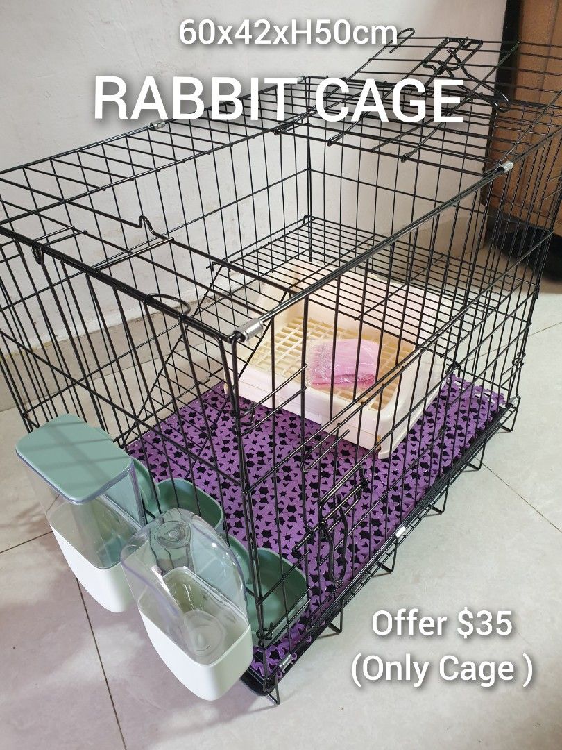 Cage for cheap rabbit near me
