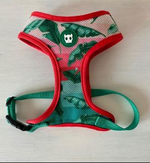 (Category: ) located in . Submitted by Aroidslove (Listing ID 1240409234, Image 1). Description: .