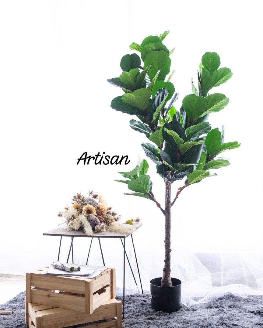 Fiddle Fig Tree, Furniture & Home Living, Home Decor, Artificial Plants