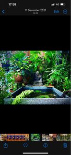 (Category: ) located in . Submitted by baulo (Listing ID 1240516006, Image 1). Description: .