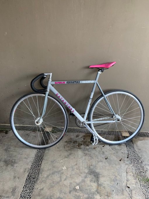 Alphalab fixie sales