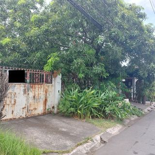 Lot For Sale In Fortunata Village Paranaque