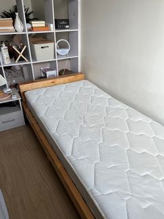Move out sale: Single bed + 2 mattresses (set)