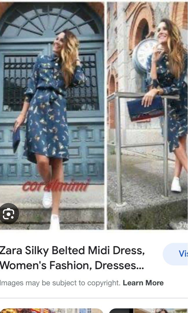 Zara Insect Print Belt Dress Women s Fashion Dresses Sets