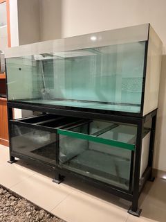 Aquarium ikan ukuran jumbo