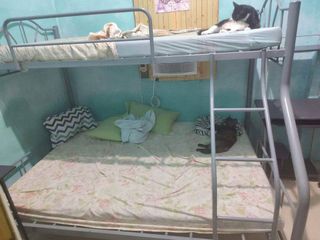 (Category: ) located in . Submitted by arabelleena (Listing ID 1242178299, Image 1). Description: .