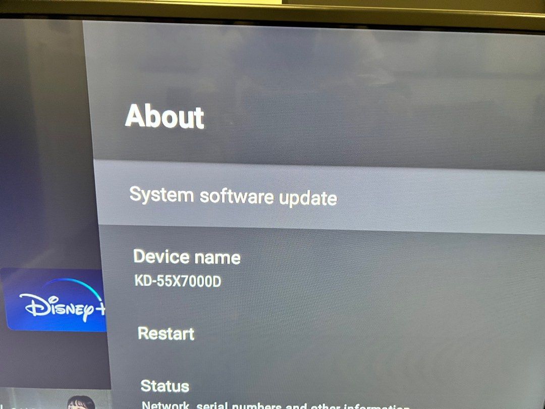 Sony Bravia 55 inch TV screen flicker, TV & Home Appliances, TV