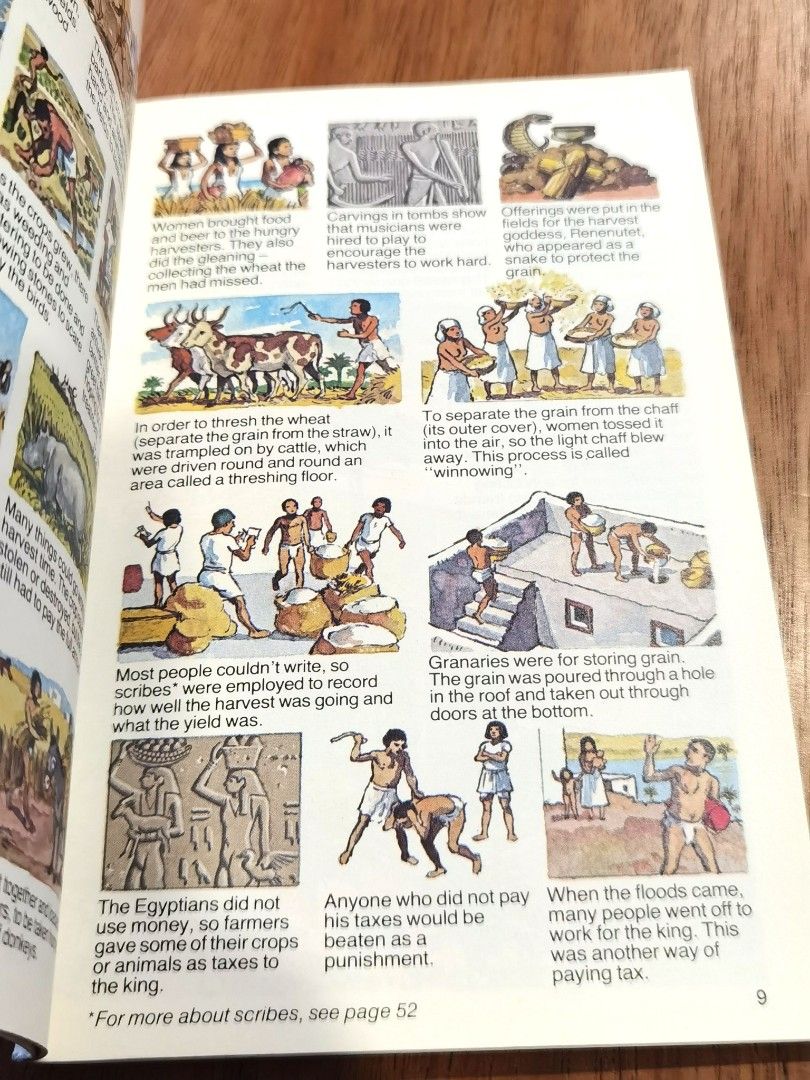 Usborne Pocket Guide Ancient Egypt Everyday Life In Egyptian Times ...