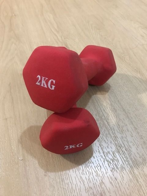 Sandbag dumbbells sales