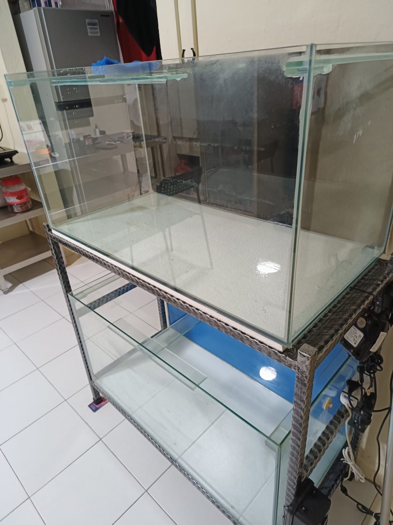 3ft fish tank, Pet Supplies, Homes & Other Pet Accessories on Carousell