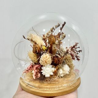《二手》玻璃花罩 乾燥花 乾燥花球