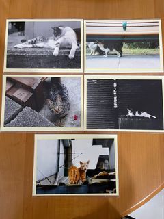 （分類：）位於 。 由 ppudding2356498 提交（商品編號 1242502448，圖片 1）。簡介： 。
