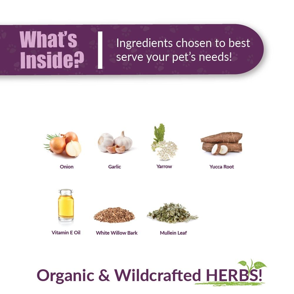 Otaxium ear drops for dogs hotsell