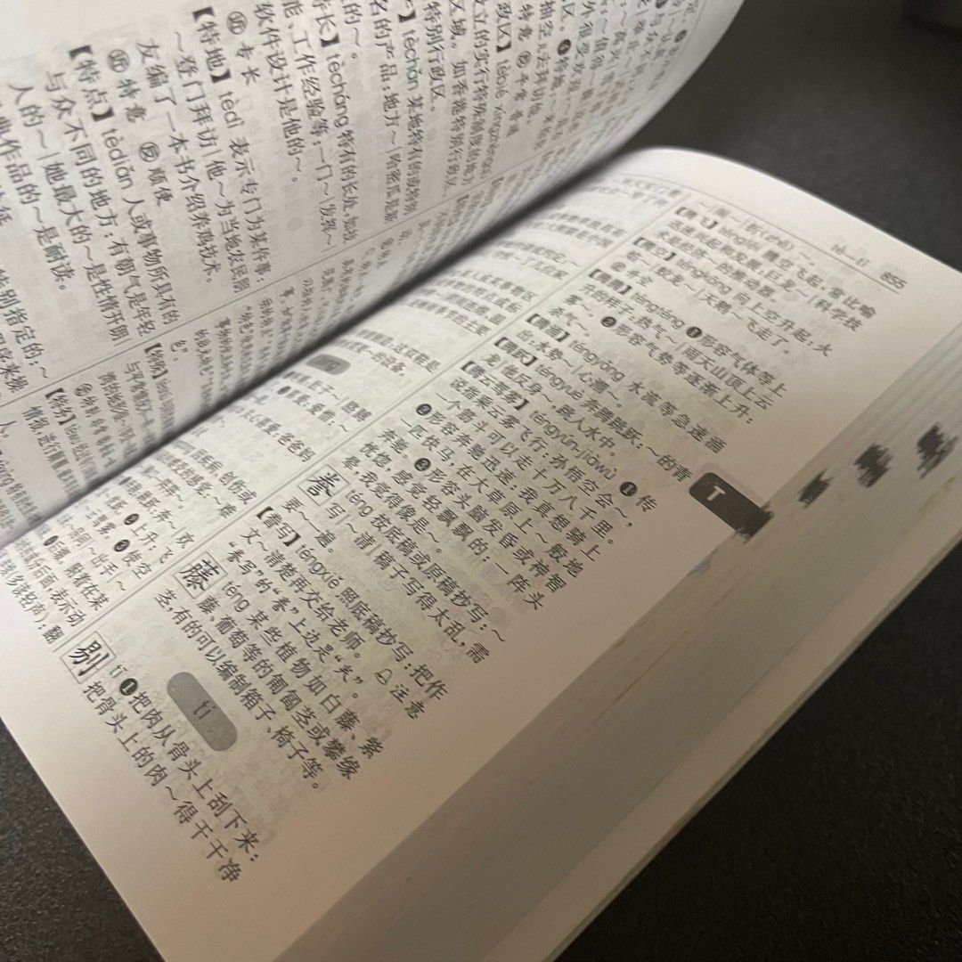 Approved Chinese Dictionary, Hobbies & Toys, Books & Magazines