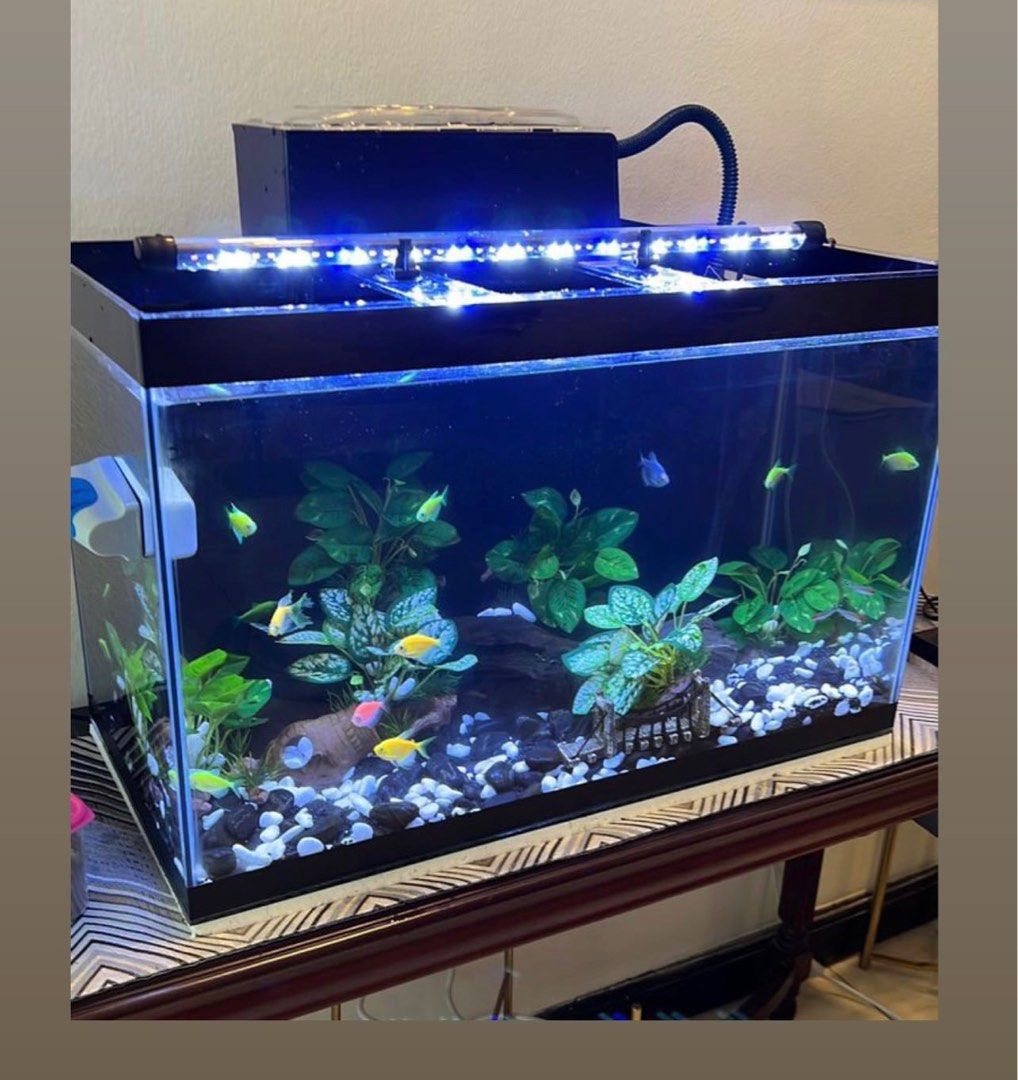Aquarium for sale