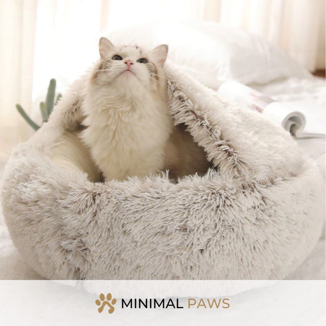 Cat 2 in 1 Clamshell Cushion Bed