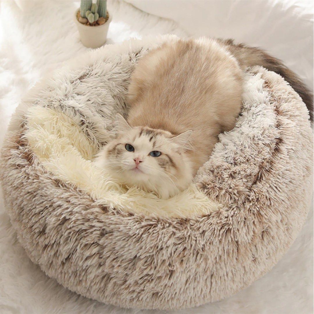 Clamshell store cat bed