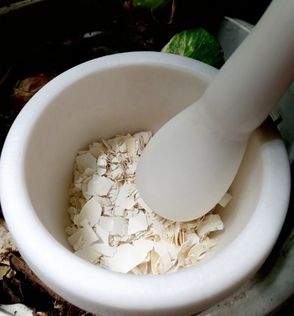 Crushed Egg shells (Category: Plants & Seeds) located in Quezon City. Submitted by salamatsuki.ph (Listing ID 1242408416, Image 3). Description: 200g Pure egg shell ✅️ NO extender ✅️ NO additives for your garden •add the crushed egg shell to your potting mix/soil. •egg shell consist of calcium carbonate.