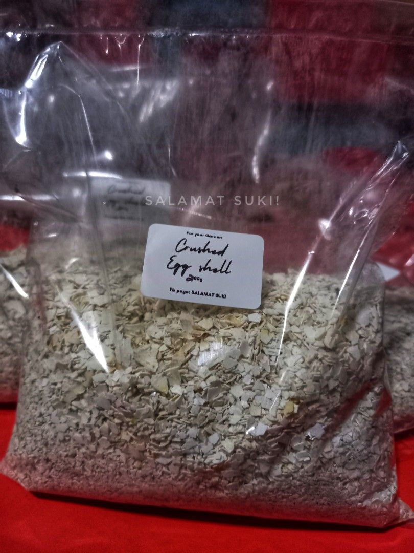 Crushed Egg shells (Category: Plants & Seeds) located in Quezon City. Submitted by salamatsuki.ph (Listing ID 1242408416, Image 1). Description: 200g Pure egg shell ✅️ NO extender ✅️ NO additives for your garden •add the crushed egg shell to your potting mix/soil. •egg shell consist of calcium carbonate.