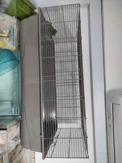 (Category: ) located in . Submitted by cuddlebear (Listing ID 1242499420, Image 1). Description: .