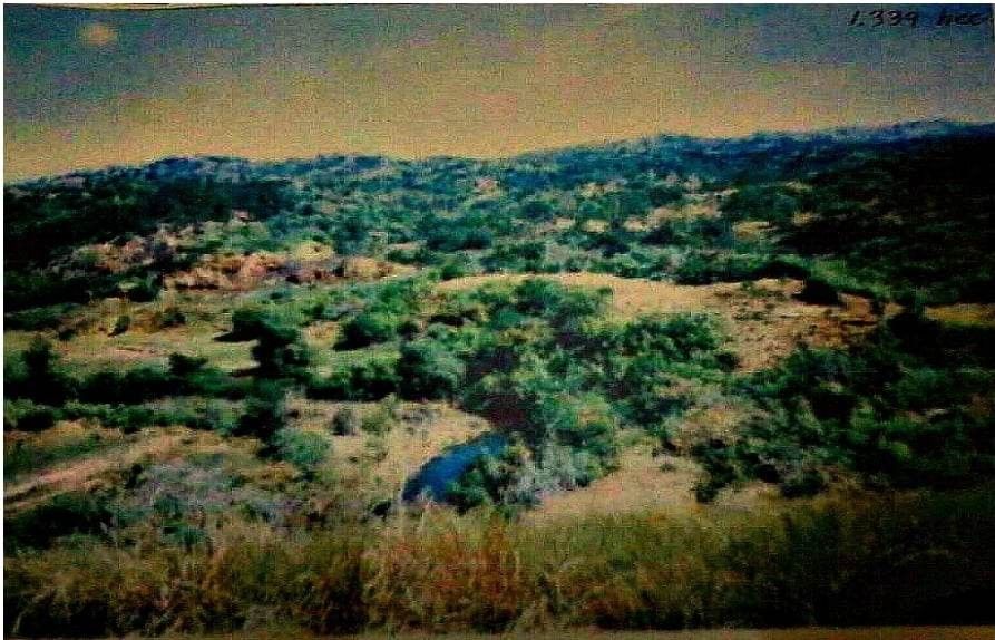 Infanta, Pangasinan Raw land for sale, Property, For Sale, Lot on Carousell