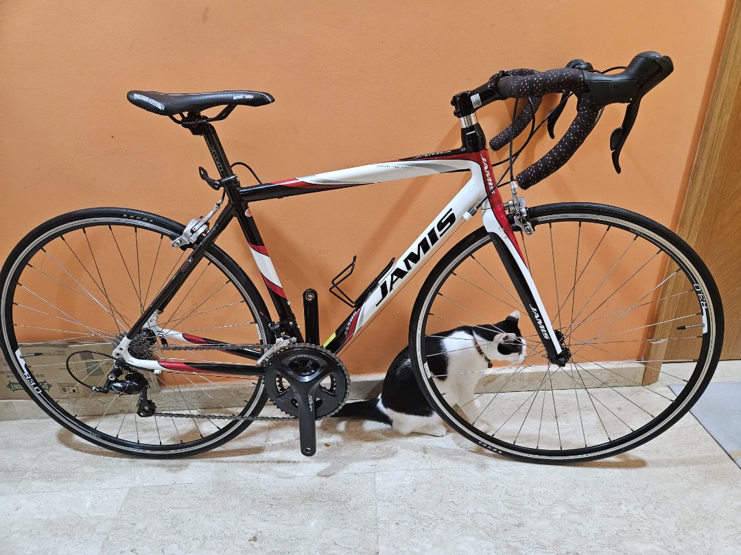 JAMIS ROAD BIKE, Sports Equipment, Bicycles & Parts, Bicycles on Carousell