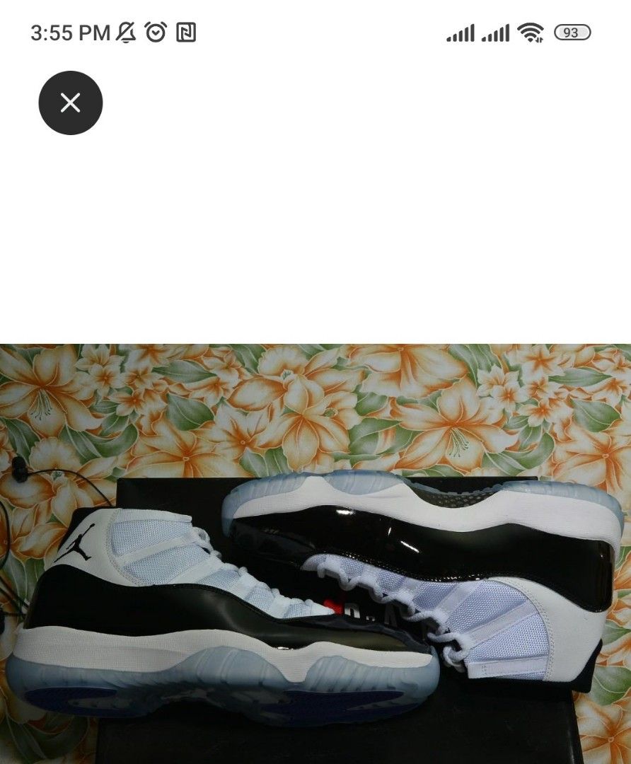 jordan 11 concorde bred