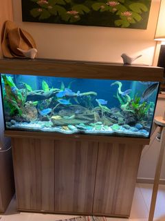 (Category: ) located in . Submitted by murali81 (Listing ID 1242392558, Image 1). Description: .